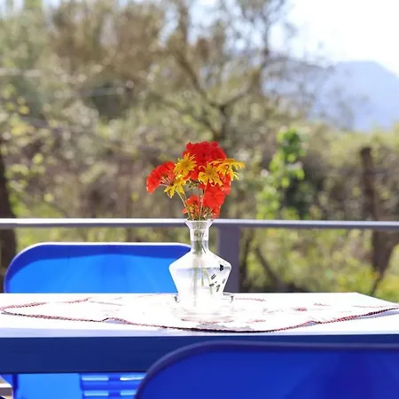 Luti Apartment Stjar