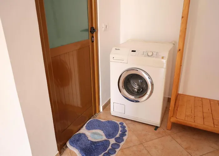 Luti Stjar